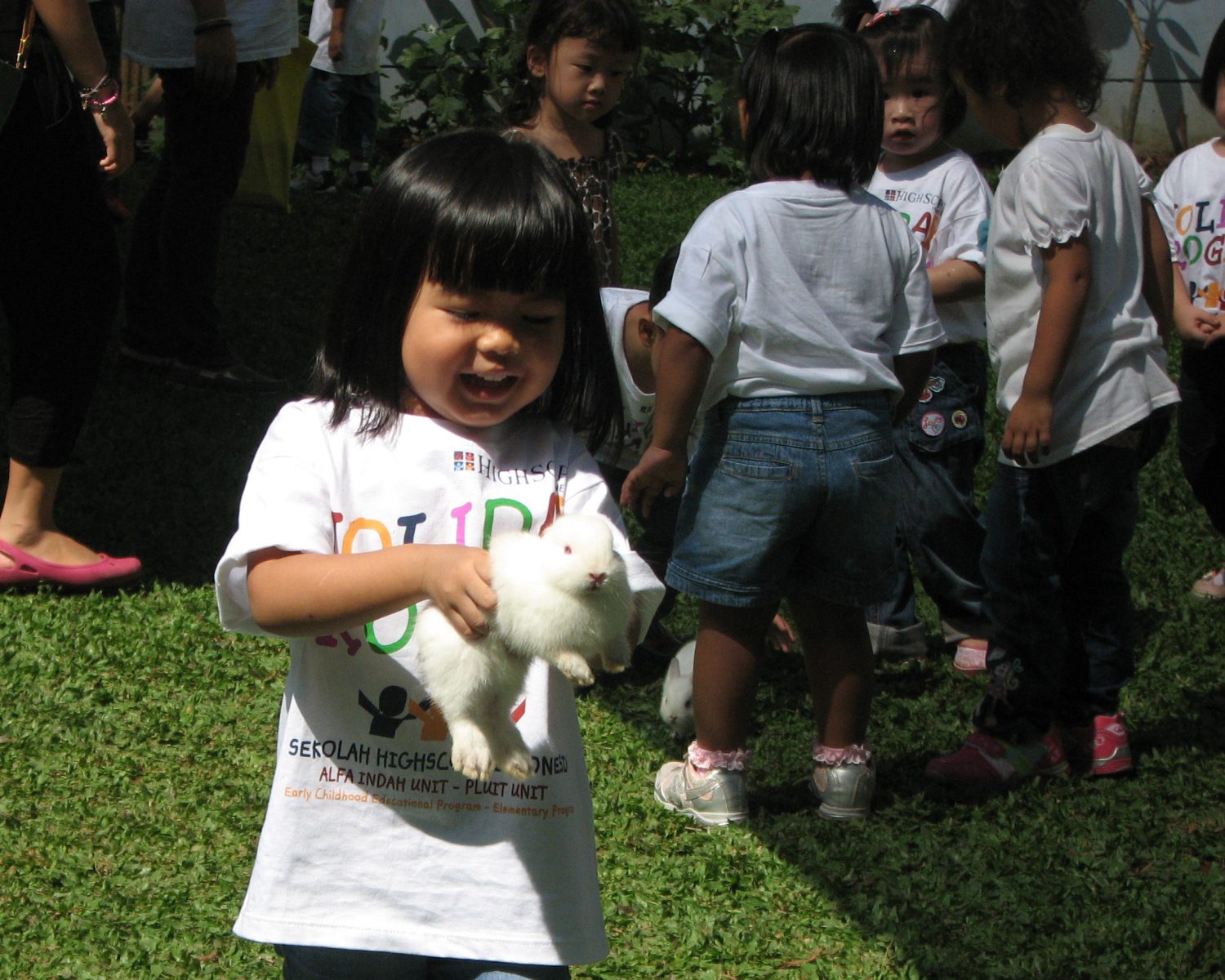 IMG_4702 IMG_4702